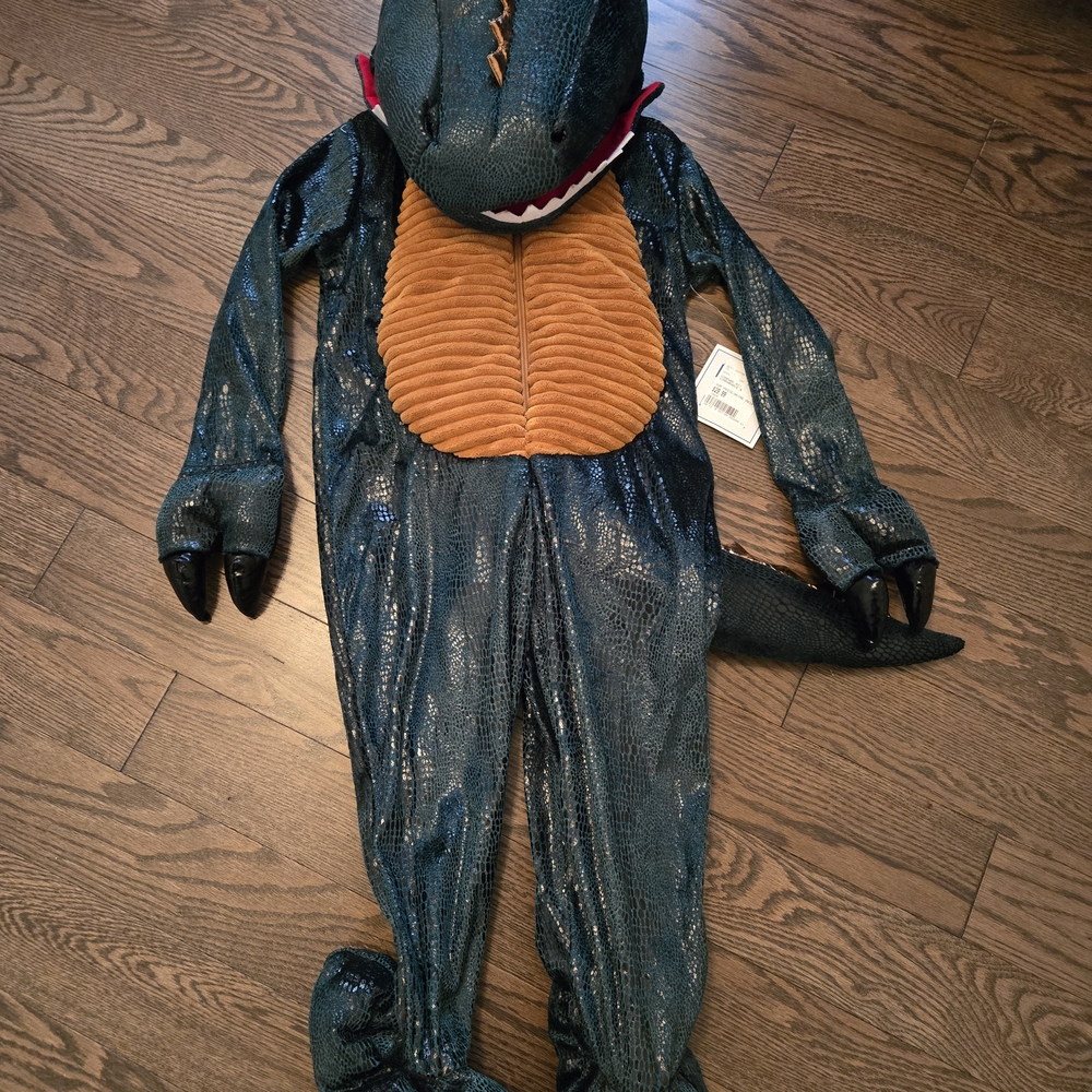 Kids Dinosaur Costume